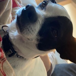 Meet your Posher, Jake